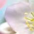 Good Morning May 27 Spring Melody Happy Spring Morning Spring Morning Wishes Springmorning