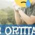 Бу деворлар ортида