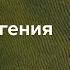 Жизнь и смерть Евгения Пригожина бизнесмена политика авантюриста