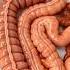 Intestines Slowed By Sitting Long Hours Animation Gut Health Human Anatomy Stomach AI Art 04