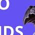 How To Play Tyranids In 10th Edition Warhammer 40k Tactics