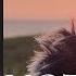 Fieldnotes 1 4 44 AM Moorland Ambience Stream Bird Calls Distant Deer