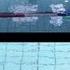 Funniest Swimming Video Ever Rodrigo Bardi