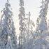 Winter Storm Relaxing Beautiful Music Peaceful Instrumental Music SNOW Relaxation Film 4K