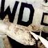 Why Did The Luftwaffe Hold A Funeral For This P 51 Pilot