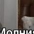 Клип Соня и Алена Под песню Молния
