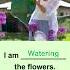 Learn English Everyday