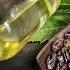 3 Oils That Completely Transformed My Skin Health Hair