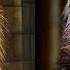 Natural History Museum Alive Moa And Haast S Eagle HD