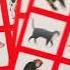 Zwierzęce Bingo Gra Planszowa Dla Osób Z Demencją