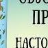 Ежиные бега Обзор настольной игры