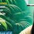 The Best Of Bob Marley Bob Marley Greatest Hits Full Album Bob Marley Reggae Songs 2025