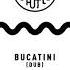 The Aston Shuffle Bucatini Dub Official Audio