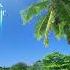 Ibiza Deep House Mix 2020 Vol 2 House Relax Chill Out Melodic Vocal House By Javi Serrano