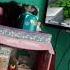 I PLAYED MINECRAFT Minecraft Rosie Vaughan