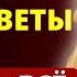 РАБОТАТЕ БЕЗОТКАЗНО для КАЖДОГО Бесценные советы Луизы Хей как изменить жизнь и обрести желаемое