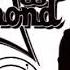 KING DIAMOND MEDLEY SPECIAL GUEST