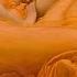 Beethoven Piano Sonata No 14 Op 27 2 Moonlight I Adagio Sostenuto