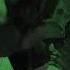 Broke Boy Fly Skii Official Video