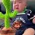 Crying Baby Shorts Viral Dancing Cactus