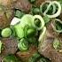 You Ll Never Guess What Makes This Lamb Dish So Flavorful