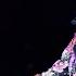 Tori Kelly Masterpiece Live From Warner Theatre Washington DC 10 28 18 Ft Lecrae