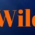 OneRepublic Wild Life Lyrics