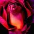 Heart Of Glass Extended Mix