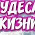 СВИДЕТЕЛЬСТВА БОЖЬИ ЧУДЕСА В МОЕЙ ЖИЗНИ И ПРОРОЧЕСКИЕ СНЫ Наталья Черепанова