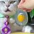 Longyin Poached Egg Is So Cute ASMR Chef Cat Cooking Creative Food Idea Tiktok Shorts