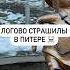 Логово страшилы в Питере