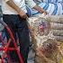 A Very Big Danger For Two Loving Couples By Mother Reza Asheq Sarmast
