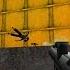 Vietnam Black Ops PC 2000 Playthrough 03