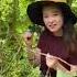 Natural Beauty Grafis Nature Beauty Grafis Shorts Shortvideo