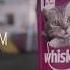 Whiskas Аппетитный микс Рекламный ролик