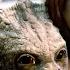 Sintel English Full Movie English