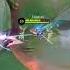 VIDEY IBU VS ANAK TERBARU NO PW GAMEPLAY MOBILEGENDS