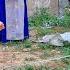 Start Building A House And A Dream Life With Master Mustafa