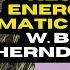 Trial Attorney Turns Neuro Energetic Somatic Healer Beth Herndobler NeuroEnergetic SomaticHealing