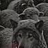 This The Meaning Of Wolf In Sheep S Clothing