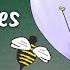 Flower Structures And Functions Insect Pollinated Flowers