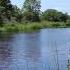 Forest River Nature Sounds Relaxing Birds Chirping Spring Morning Ambience Water Sound For Sleeping