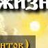 Книга жизни архим Виктор Мамонтов