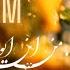 Shakila شکیلا Nemidanam من این ایوان نه تو را مولانا Rumi Experience Esfandiar Monfaredzadeh
