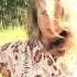 Lykke Li Dance Dance Dance Music Video