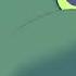 Ahadi S Death