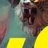 Rengar 1V6 HEXAKILL League Of Legends