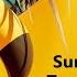 Summer Chill Tropical Vibes Mix 02