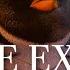 This Kid S Movie Is About Existentialism