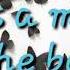 Dream Too Much AMY LEE Lyrics